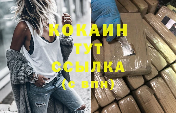мет Новозыбков