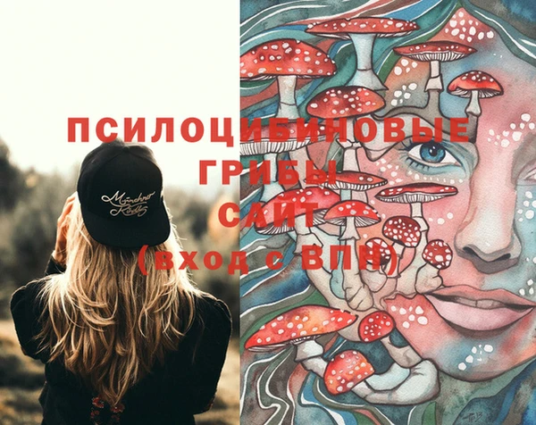 прущая мука Нея