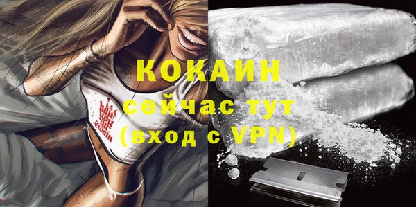 мет Новозыбков