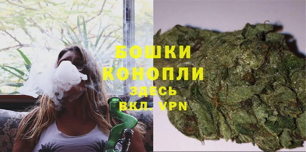 мет Новозыбков