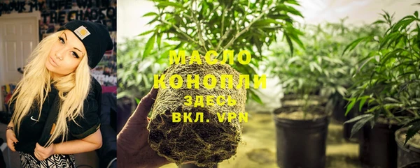 мет Новозыбков