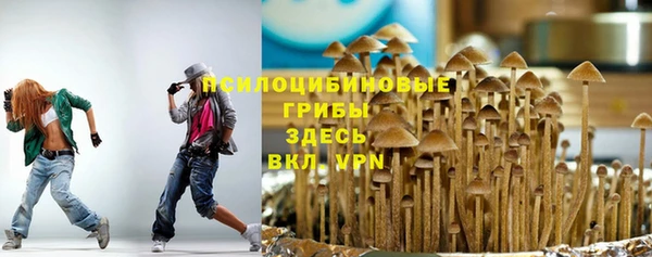 синтетический гашиш Новодвинск