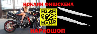 apvp Гатчина