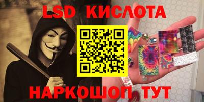 apvp Гатчина