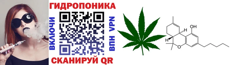 Канабис конопля  Лянтор 